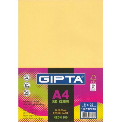 Χαρτί 80gsm 5 χρώματα Gipta 100 φύλλα
